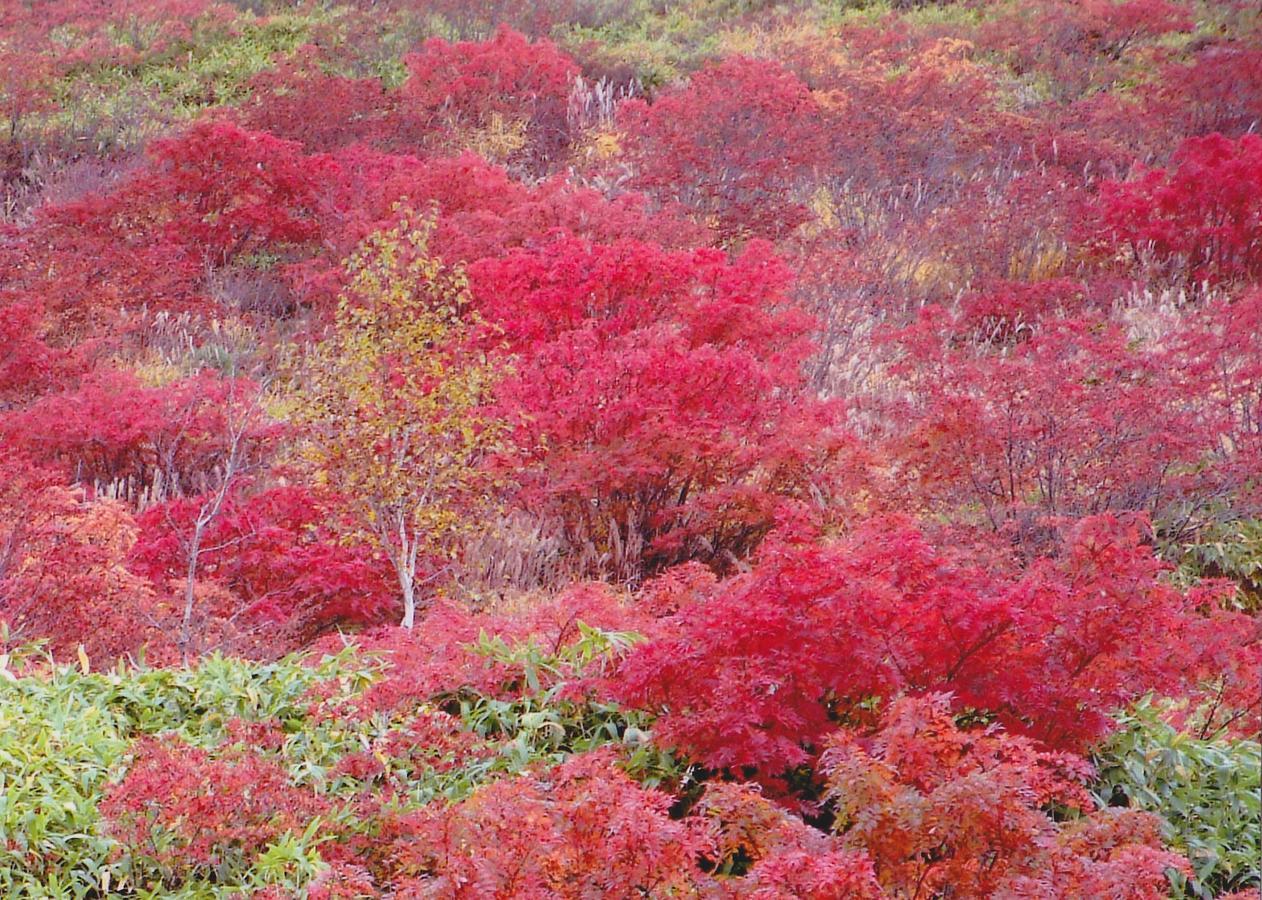 Shiga Kogen Hotel Shiga Sunvalley Yamanouchi  Exterior photo